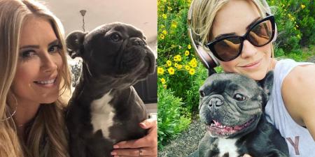 Pick Some Female Celebs and We'll Give You a Cute Puppy that Matches Your Personality!