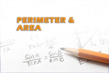 Perimeter & Area