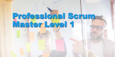 Professional Scrum Master Level 1
