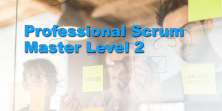 Professional Scrum Master Level 2