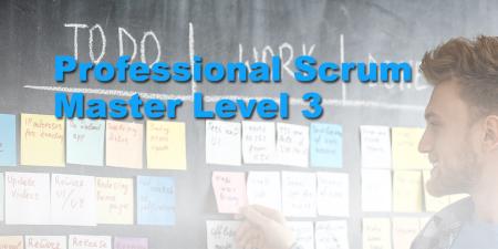 Professional Scrum Master Level 3