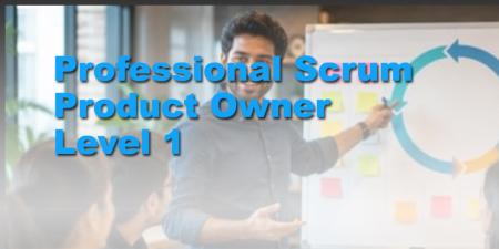 Profesyonel Scrum Ürün Sahibi Seviye 1