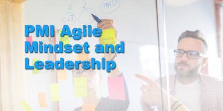 PMI Agile Mindset and Leadership