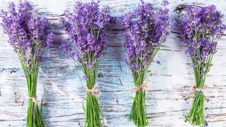 What is the best way to store dried lavender?