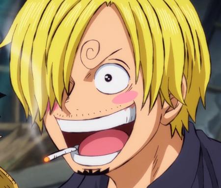 Who is Sanji's love interest in the series?