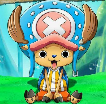 What is the name of Chopper's favorite food?